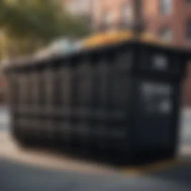 Urban Aesthetics Fusion Aesthetic integration of open top trash dumpster in urban setting