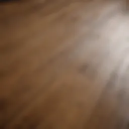 A close-up of rich oak wood flooring highlighting its grain patterns