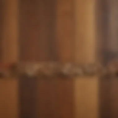 Different types of wood samples showcasing color and texture diversity