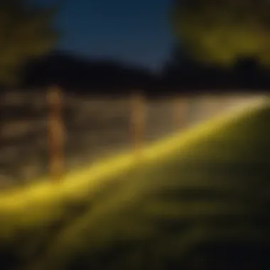 Artistic integration of electric fence lights in outdoor landscape