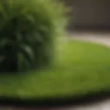 A pristine lawn of artificial grass showcasing its lush, vibrant color.