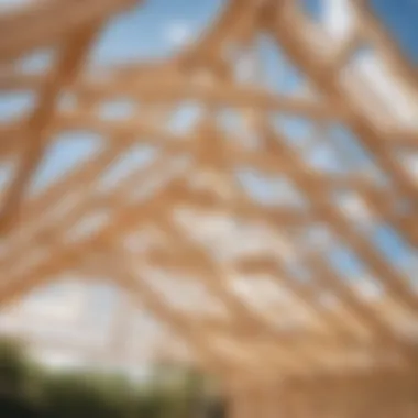 Installing roof trusses for shed attachment