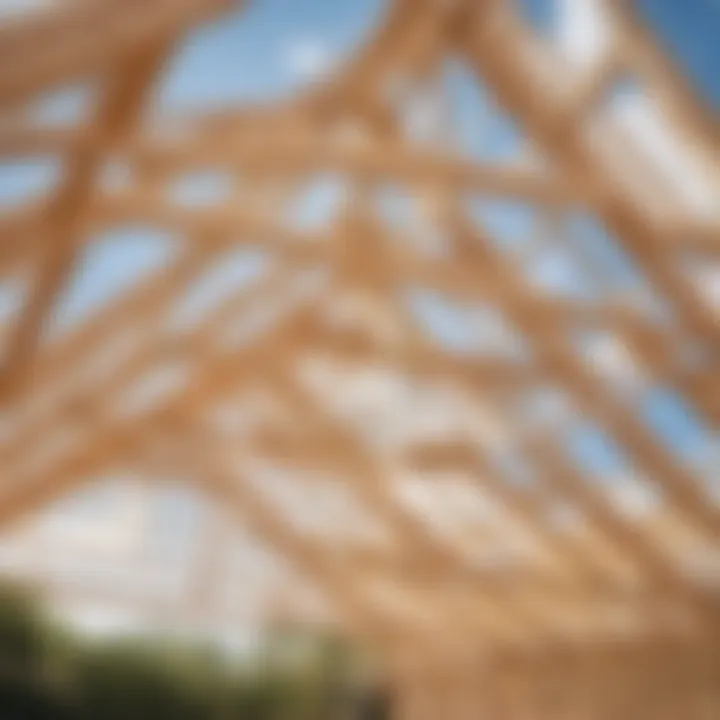 Installing roof trusses for shed attachment