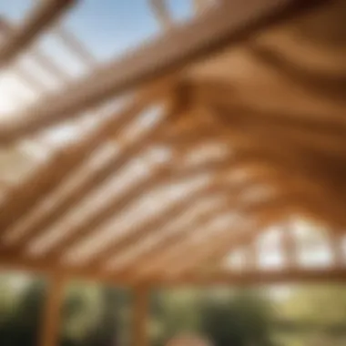 Ensuring Durability in the Finished Shed Rafter Structure Finished shed rafter structure showcasing durability