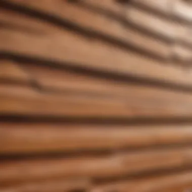 Proper Maintenance Practices for Cedar Shake Siding Cedar Shake Siding Maintenance Tips