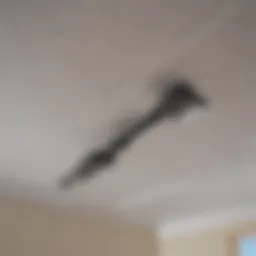 Elegant ceiling scraper tool