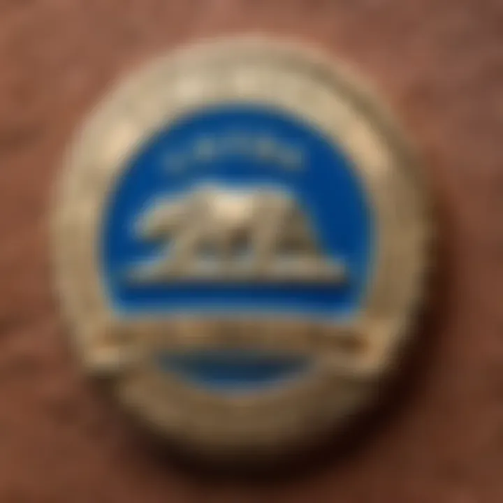 California state certified electricians badge