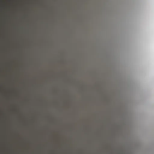 A close-up view of a freshly sealed concrete surface demonstrating a glossy finish