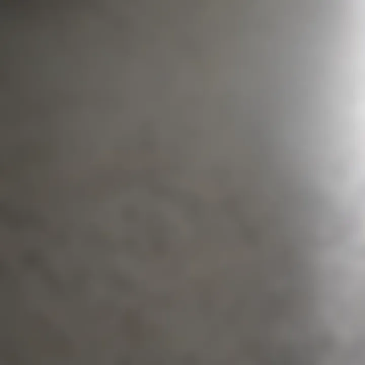 A close-up view of a freshly sealed concrete surface demonstrating a glossy finish