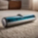 Cordless Vacuum Dog Hair Attachment