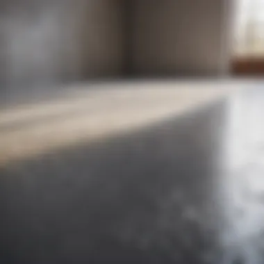 Assortment of Materials for Concrete Floor Finishing Variety of concrete floor finishing materials