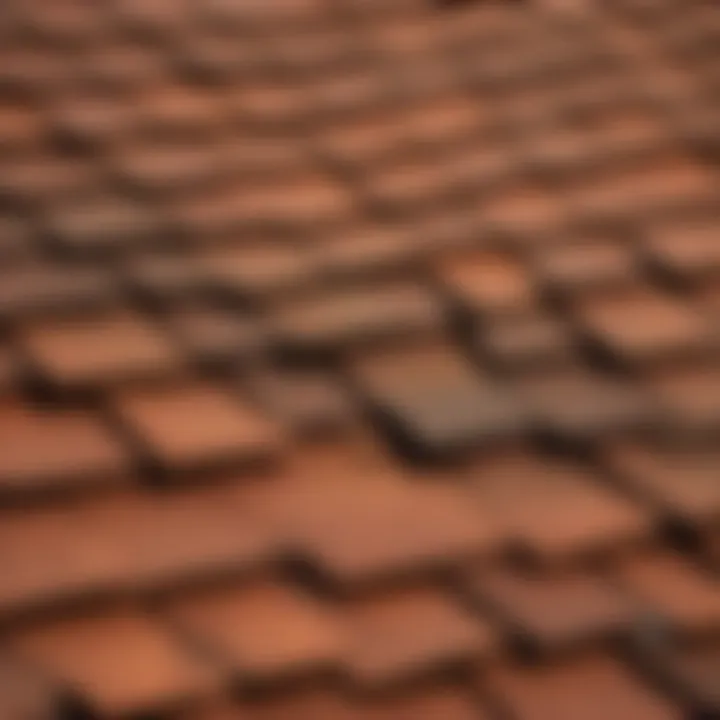 Detailed breakdown of shingle roof pricing factors