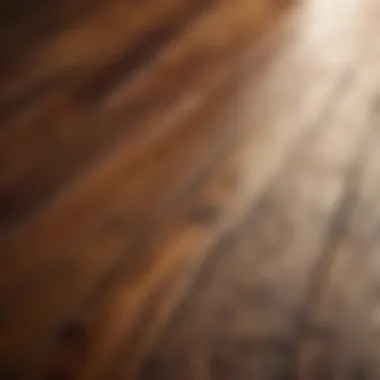 Close-up of high-quality hardwood floor planks