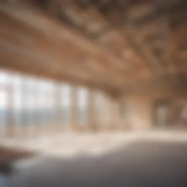 Cost Efficiency in Construction Projects