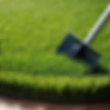 Artificial Grass Maintenance Tools