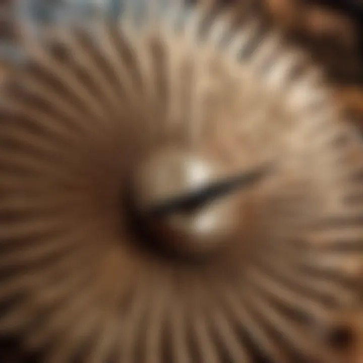 Cultural Depiction of Counterclockwise Fan Rotation in Art