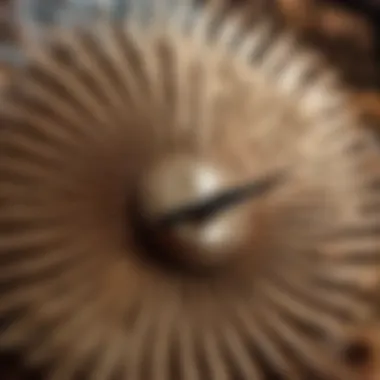 Cultural Depiction of Counterclockwise Fan Rotation in Art Cultural Depiction of Counterclockwise Fan Rotation in Art