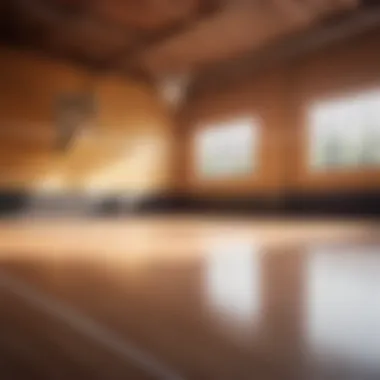 Tailored Design Solutions Customizable Court Design