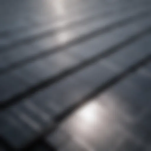 Close-up view of monocrystalline solar panels showcasing their sleek design and high efficiency.