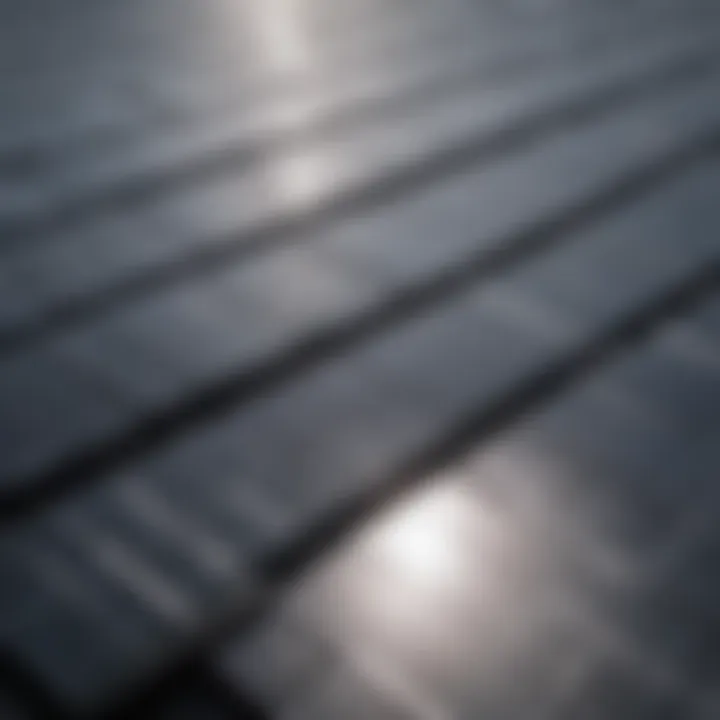 Close-up view of monocrystalline solar panels showcasing their sleek design and high efficiency.