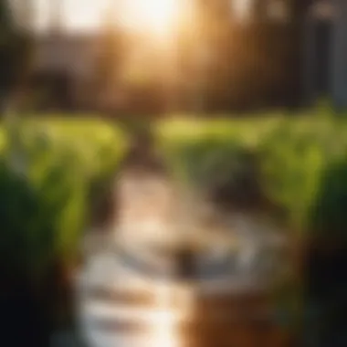 High-Quality Filters for Clean Water Supply Drip Irrigation Filters