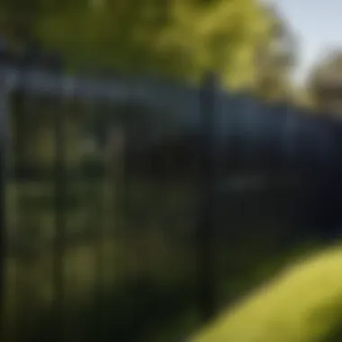 Enhance Durability with Pro-Black Paint Durable Fence Coated in Pro-Black Paint
