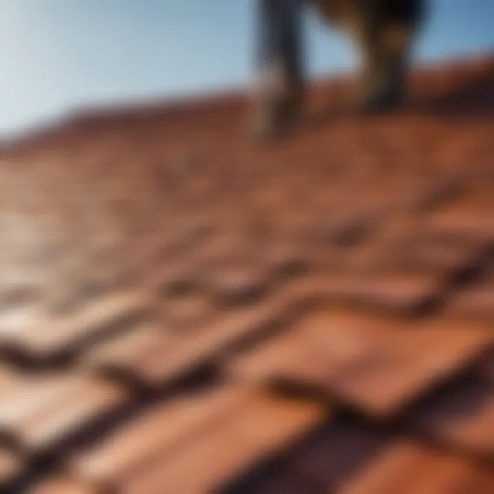 Durable Roof Tile Maintenance