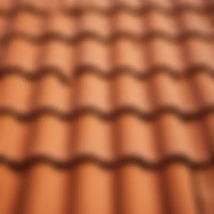 Earthy Terracotta Roof Tile Paint Color