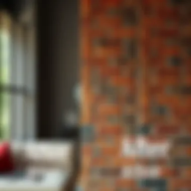 Transforming Brick Surfaces Before and after comparison of cleaned brick surface
