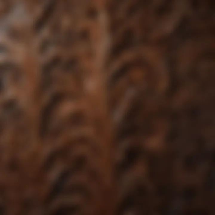 Elegantly Stained Wood Wall Panel with Intricate Patterns