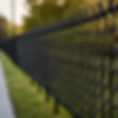 Elegant black chain link fence