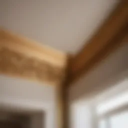 Elegant Crown Molding Frame Detail