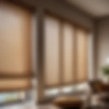 Elegant fabric window shades