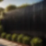 Elegant Fence with Pro-Black Paint