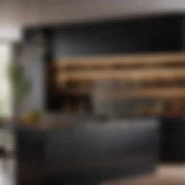 Elegant Kitchen Cabinet Design - Sleek Black