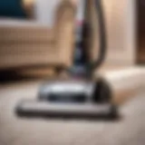 Elegant vacuum cleaner on Shaw carpet