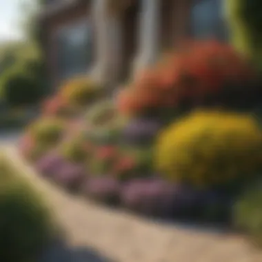 Colorful Perennial Border Colorful perennial border brings vibrancy and charm to the entrance
