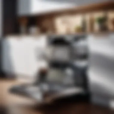 Innovative Features Impact Consumer Choices Energy-efficient dishwasher technology