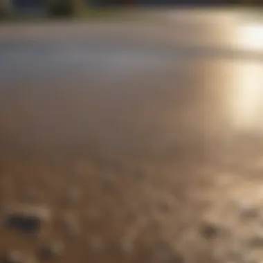 Close-up of newly poured concrete driveway surface