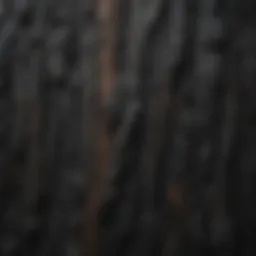 Close-up of charred wood siding revealing unique textures