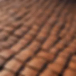 Diverse roof tile styles showcasing architectural beauty