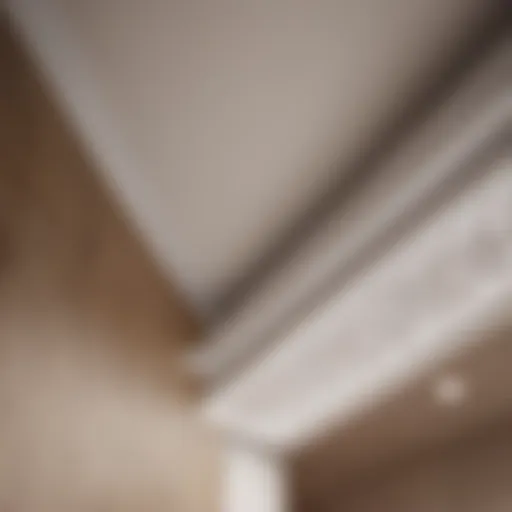 Elegant architectural detail of soffit and fascia blending seamlessly