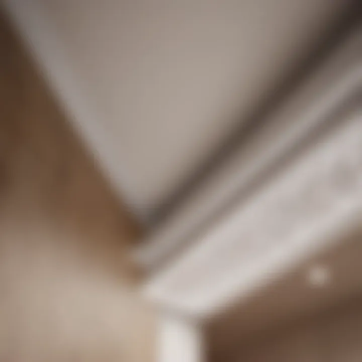 Elegant architectural detail of soffit and fascia blending seamlessly