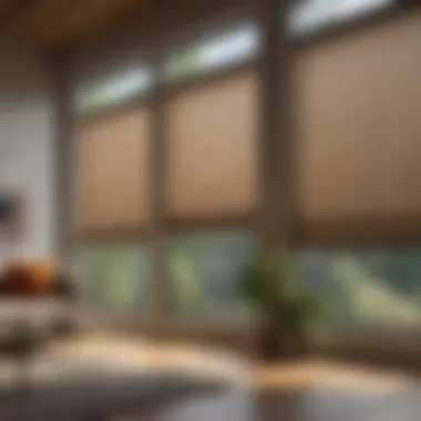 Energy-efficient cellular shades enhancing comfort and style
