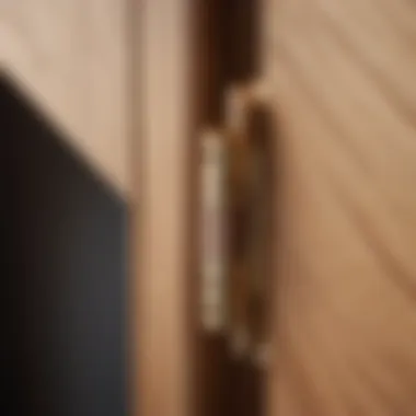 Innovative hinge design for modern architecture