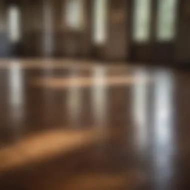 Advanced Floor Buffing and Polishing Methods Floor Buffing and Polishing