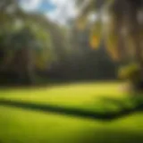 Lush Green Florida Sod