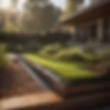 Foundation Drip System Cost Efficiency in Landscaping