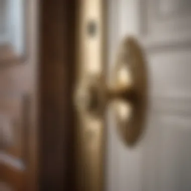 Close-up of durable lock mechanism on front door