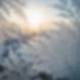 Frost Patterns on Glass Window